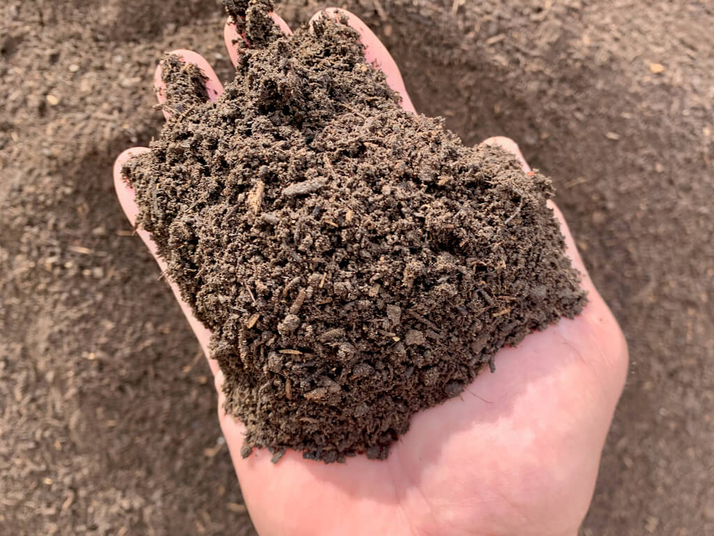 Mushroom Compost