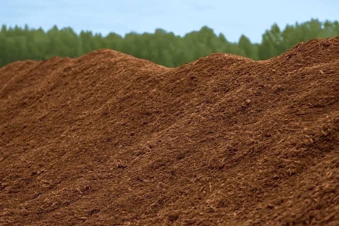 Peat Moss