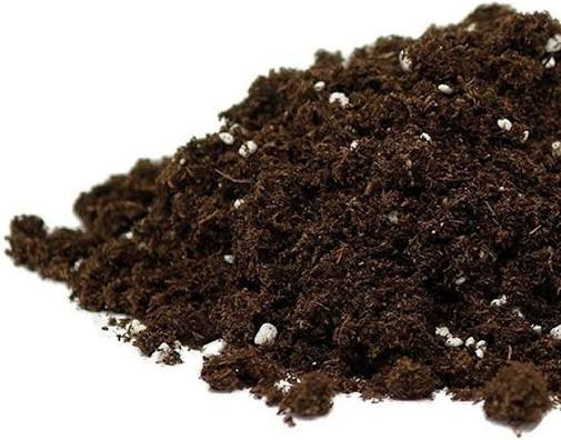 Potting Soil