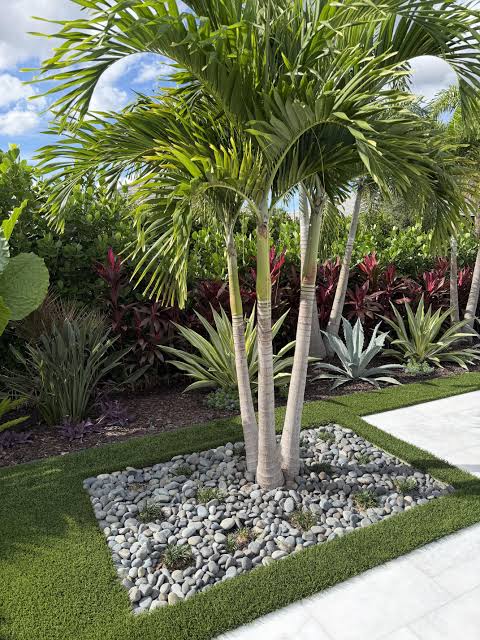 Landscape Plants